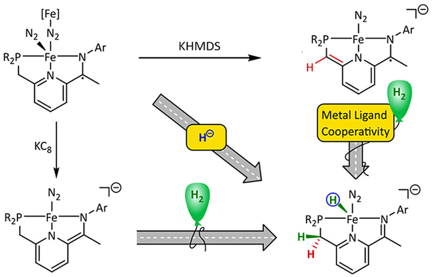bhkenlo's tweet photo. Metal–Ligand Cooperativity in Iron Dinitrogen Complexes: Proton-Coupled Electron Transfer Disproportionation & an Anionic Fe(0)N2 Hydride https://t.co/QQqfSS1SkL Roşca & co-workers @InorgChem #iron #phosphine_iminopyridines #noninnocent #dinitrogen #PCET #dearomatization https://t.co/tuPc6BLq9F