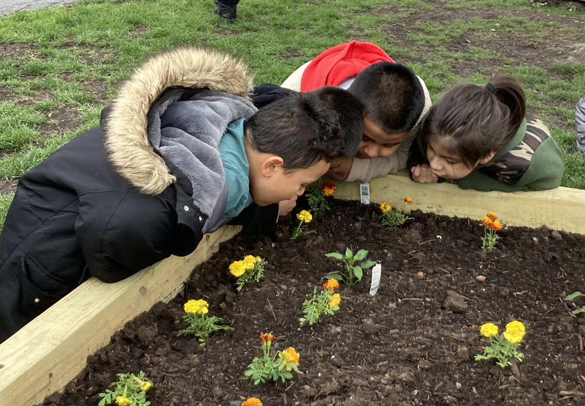 Marie White tweet media