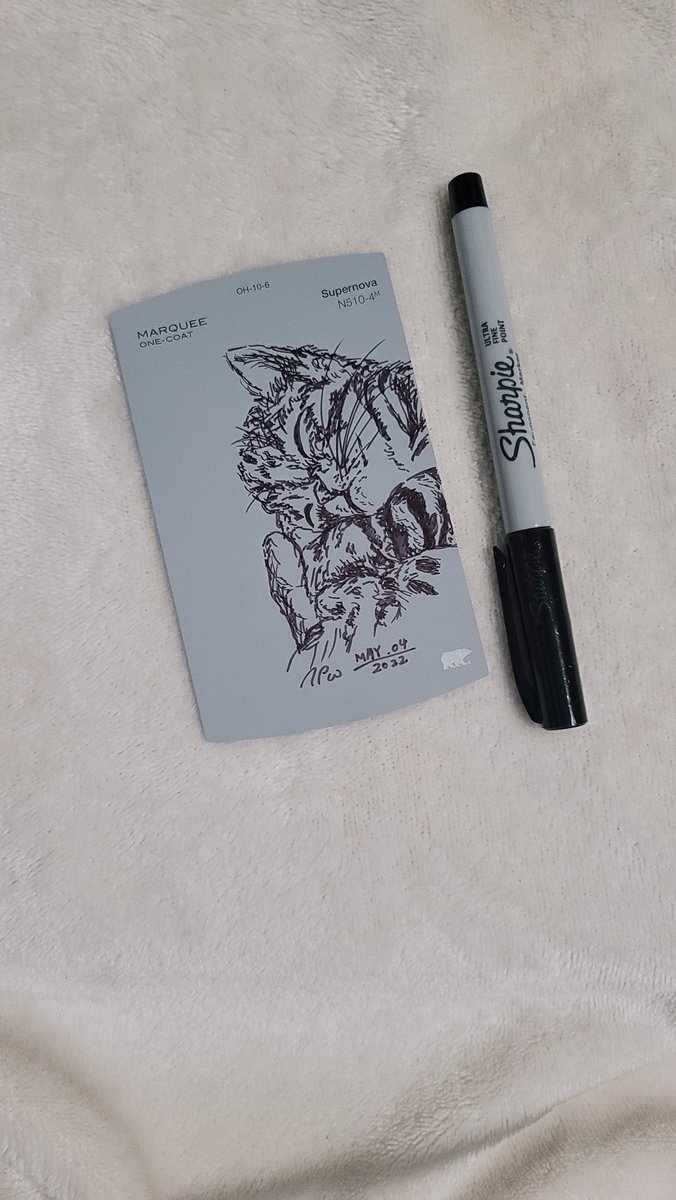 artist_tamaki's tweet photo. #catdrawing #paintchip #sharpie #meow #quickdrawing #sketch #doodle #drawing #lineart #art #cat #areyoukittenme https://t.co/DLYIzyvZVe