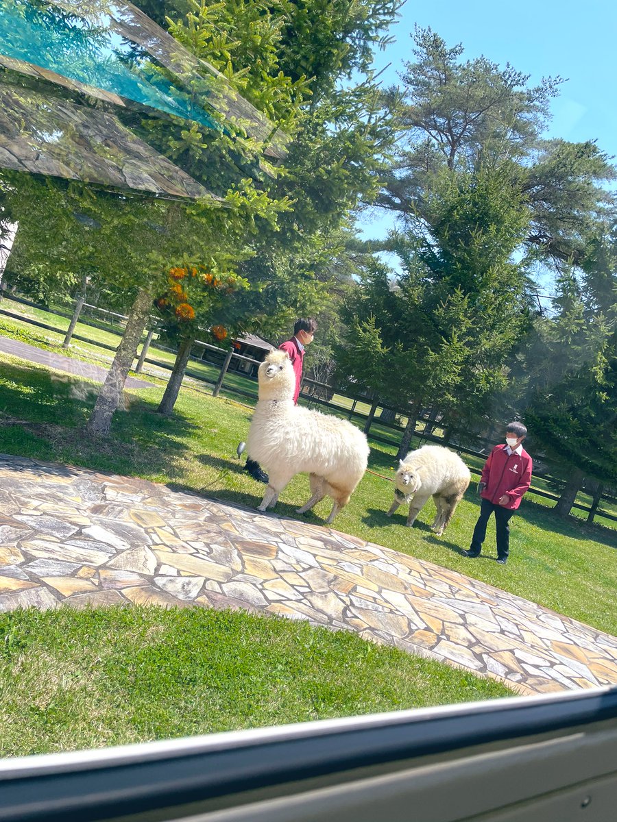turbo0627's tweet photo. Wedding party in Karuizawa
#Photobus
#ウェディングフォト
#ワーゲンバス
#フォトバス https://t.co/Pc81QE407G