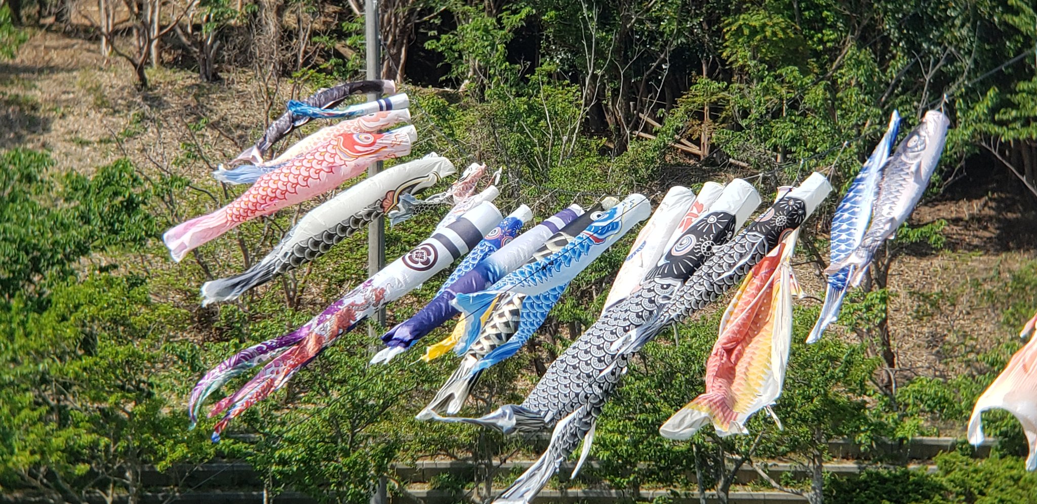 小脇公園 Twitter Search Twitter