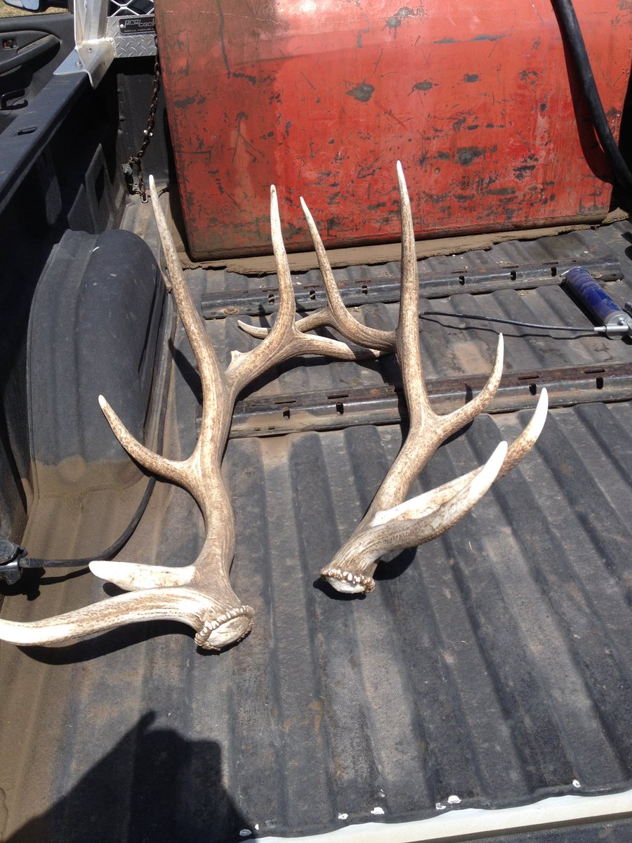 Ken Lepp 🇨🇦 tweet media