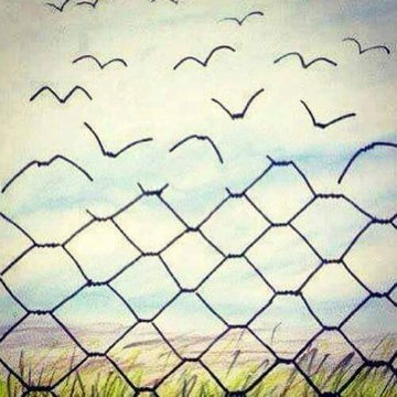 In alle vrijheid.

 "Ware vrijheid is je geweten volgen,
 en anderen ruimte geven,
 en niet de vrijheid te doen waar je zin in hebt "

  ~JanTerlouw~

 "Vrijheid is accepteren dat er grenzen zijn."

 #5mei
 #Bevrijdingsdag