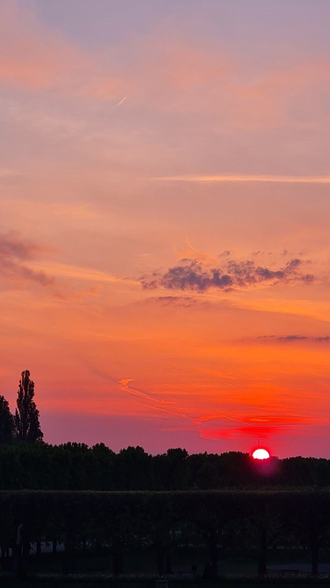 Séverine tweet media