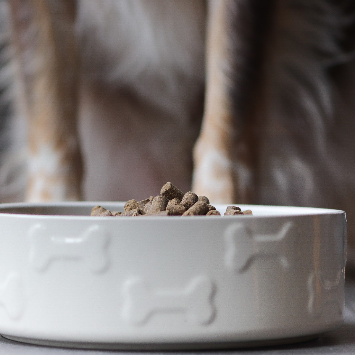 Forthglade Natural Pet Food tweet media