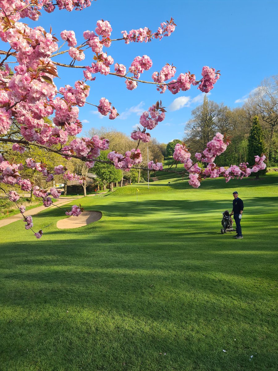 James Saint tweet media