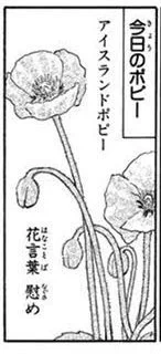 @GakuGuntama 花言葉 ほほえみ 