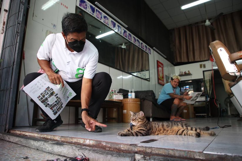 เหยแก ชัชชาติเค้ารู้วิธีเล่นแมวอะ เพราะตอนสมัยเราเด็กๆ เคยอ่านหนังสือว่า เวลาจะเรียกแมวหรือเข้าหาแมว ให้ลองชี้นิ้วไปที่แมว แมวจะสงสัยและเดินมาหา แล้วถ้าชิ้นิ้วไปหาแมว แมวจะไม่ค่อยเก้วกาดค่ะ