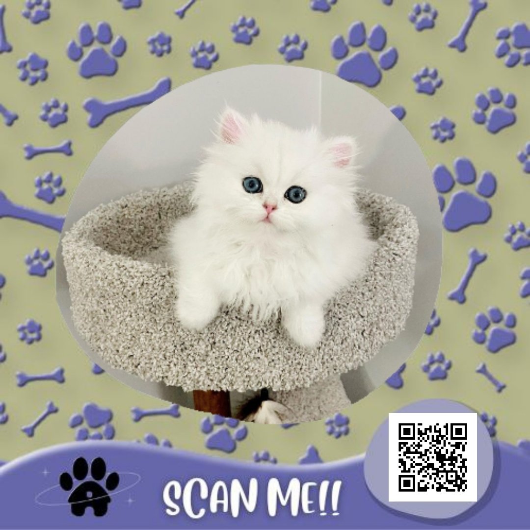 CafeOfPaws's tweet photo. ⠀⠀⠀⠀⠀⠀⠀⠀⠀
⠀⠀⠀⠀[ 🐾 ] YOU RECEIVED A PET!

⠀⠀⠀𓏲 from  ›  self
⠀⠀⠀𓏲 to      ›  @rivera_valle_

⠀ 💬 “i feel so lonely...so i wanted a cat ^^”
⠀⠀⠀⠀⠀⠀⠀⠀⠀ https://t.co/lPo0u4GDJR