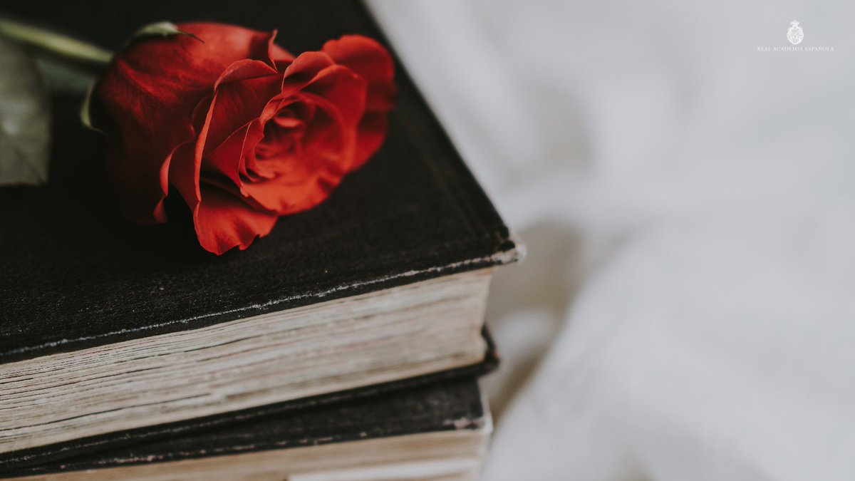 RAEinforma's tweet photo. Hoy se celebra el Día de la Lengua Española y el Día del Libro.

Comparta con nosotros los títulos que regalará en esta jornada en la que se pretende fomentar la lectura y recordar a grandes nombres de la literatura universal como Miguel de Cervantes. 

#DíaInternacionalDelLibro https://t.co/9FQqkkC9S5