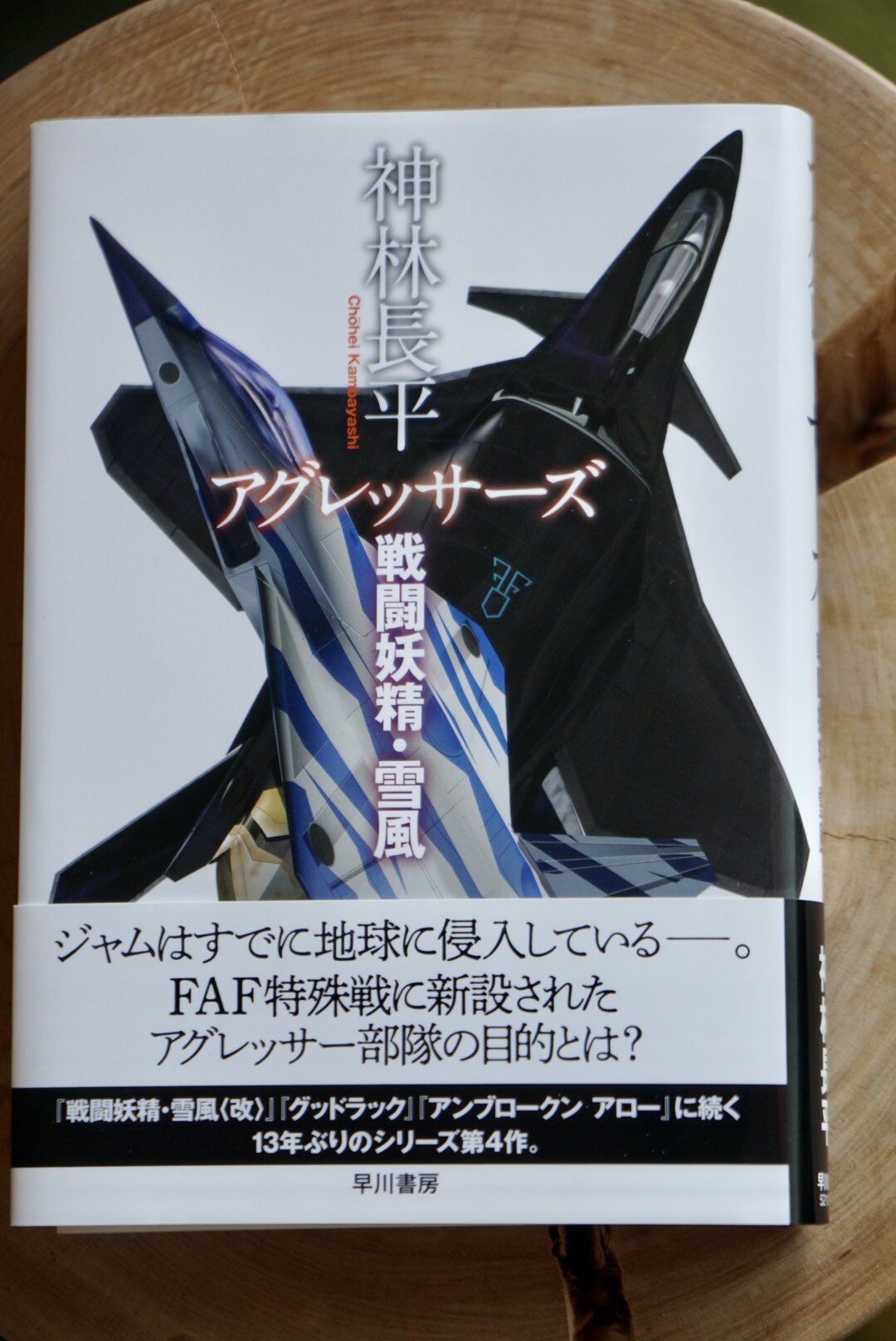 小島秀夫 最新作 アグレッサーズ 読了 戦闘機物の侵略物sfと聴き 美麗な有人戦闘機と邪悪な異星人とのド派手なドッグファイトを想像するに違いない しかし 戦闘妖精 雪風シリーズはそう単純ではない 哲学的なテーマと内省的な興奮を試みる独特な