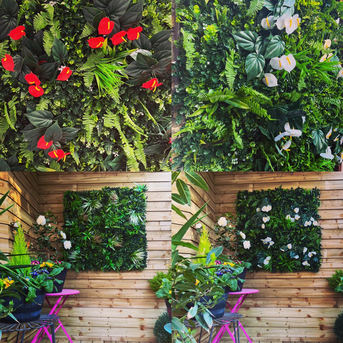 LornaTweet's tweet photo. Coming up at 9.31am on @qvcuk with @TheHuntley @mr_plantgeek @WillGowing & me - the stunning #bundleberry by @AmandaHolden Tropical Living Wall Garden Product of the Month! #ad https://t.co/tod6s50WNy https://t.co/aSvcSYPkK8