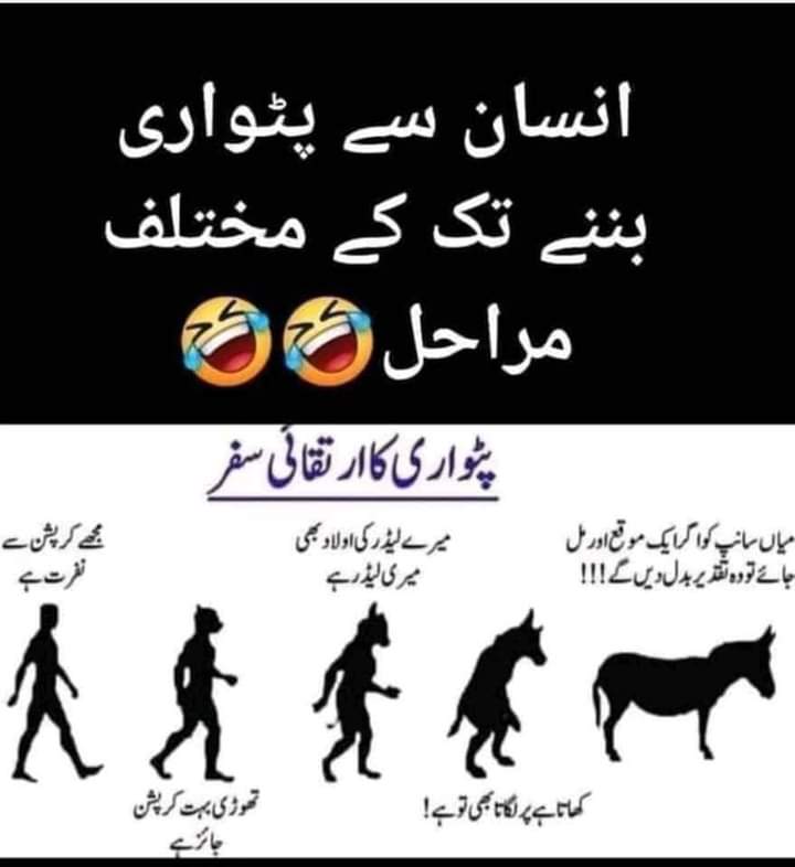 Anumofficial_'s tweet photo. The stages of becoming a Patwari from a human being
Very simple 🤣😂
#امپوڑٹڈ_حکومت_نامنظور 
#الیکشن_فوری_کروائے_جائیں https://t.co/0bCcw2zF7o