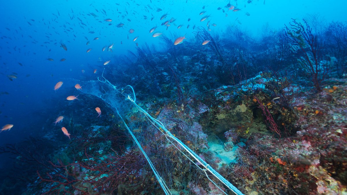 Algae Bio Farm tweet media