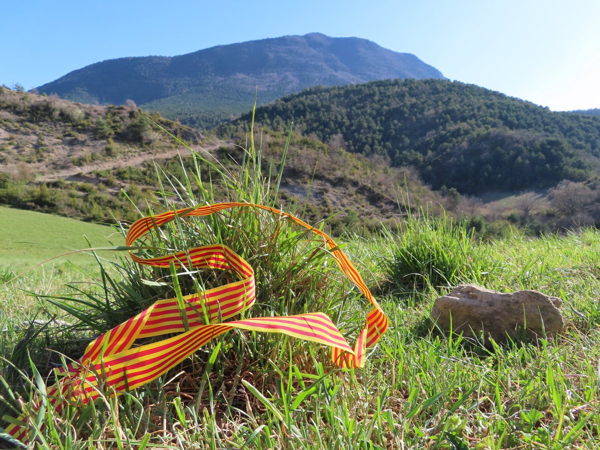 Binacuaa's tweet photo. Feliz Día de Aragón y San Jorge. 
💛❤️💛❤️💛❤️💛❤️💛.
#binacuaunica #binacua2022 #binacua #aragon #díadearagón #sanjorge #aragonés #aragonesa #naturaleza #cuculo #orgullo #diadellibro #jacetania #huesca #aragon https://t.co/LiFBForhXa