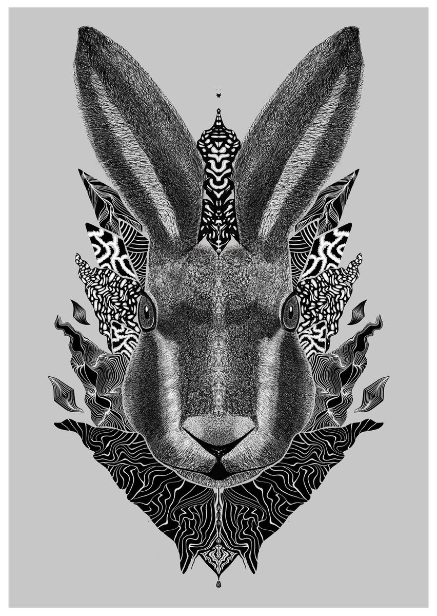 Nette Frei ✍🏻✨🪷🪶 tweet media