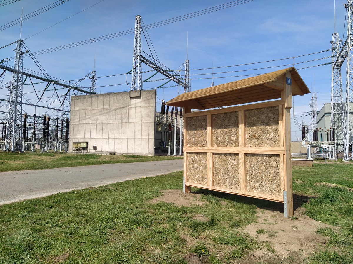 Vorige week hebben we een prachtig insectenhotel voor <a href="/TenneT/">佐又</a> mogen plaatsen bij het station Dodewaard. Er is hier voldoende voeding aanwezig omdat zij sinusmaaien toepassen waardoor het hele seizoen bloemen en kruidachtige planten blijven staan.