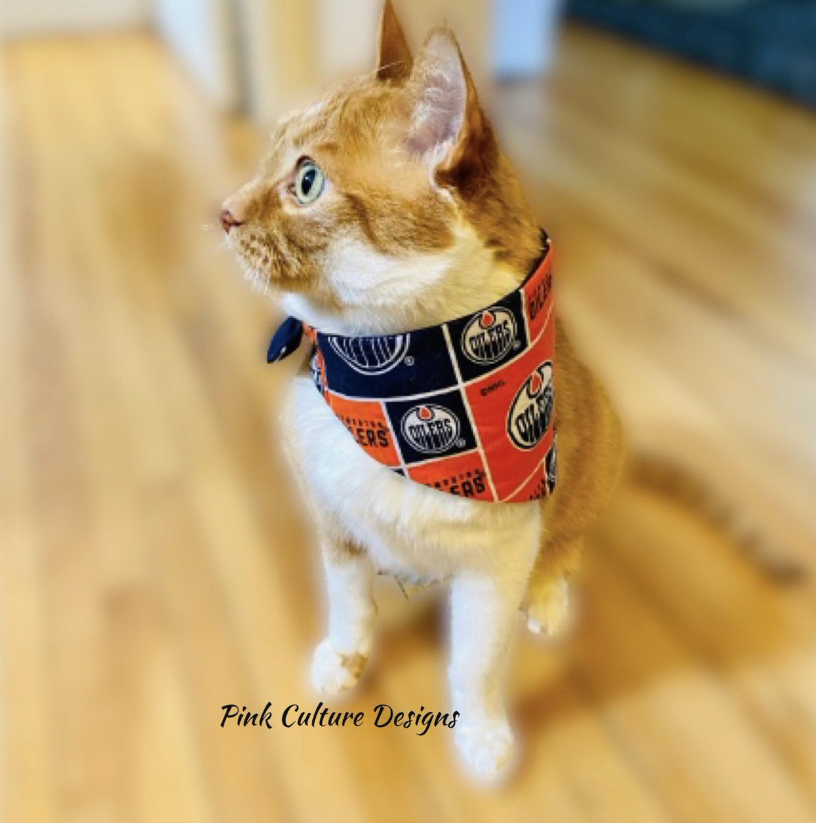 Get your pets playoff ready!!! 🏒 

Visit website to order: pinkculturedesigns.com/shop/ols/categ…

#yeg #edmonton #sherwoodpark #stalbert #sprucegrove #leduc #yegsmallbusiness #yegbusiness #calgary #alberta #yyc #dog #dogbandana #dogsofinstagram #edmontonoilers #oilers #nhl #hockey #playoffs