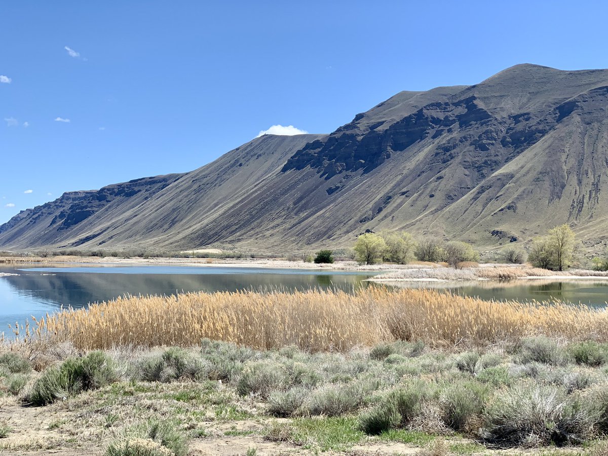 My first post panorama travel. And it’s breathtaking…

#tbextricities #visitwashington #winecountry #visitseattle