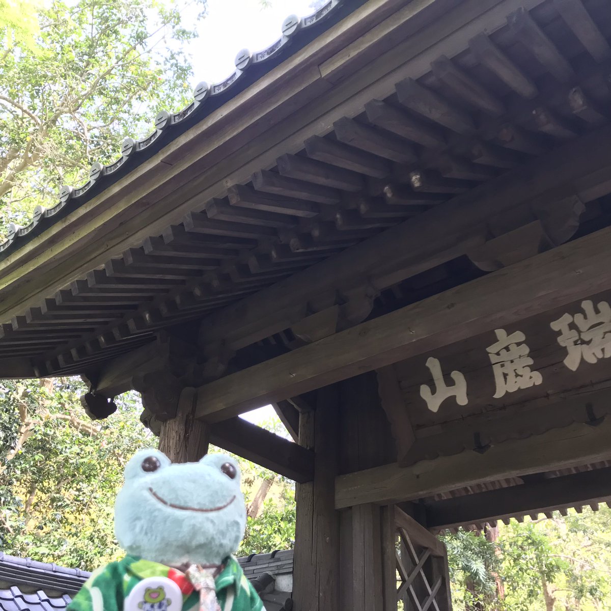 fsuzue's tweet photo. 円覚寺の新緑に写り込む。

今日は娘の学校の演奏会。
開場前に少し散策。 https://t.co/oYvEcn22rs