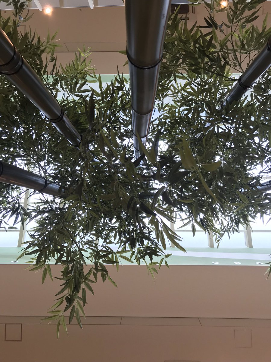 How76YxxyM8jf4G's tweet image. 家族でショッピングモールなう😅
カミさんと息子が買い物をしている間、ベンチで荷物番をする年齢になっちゃってて草。
#jetcycle #この後開店 #お休みじゃないよ #今日はやるよ #すごくやるよ