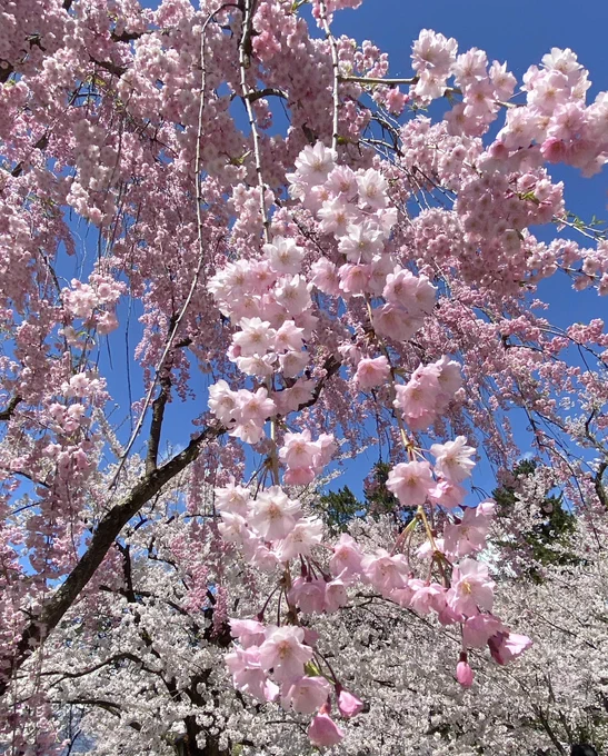 良き天気 