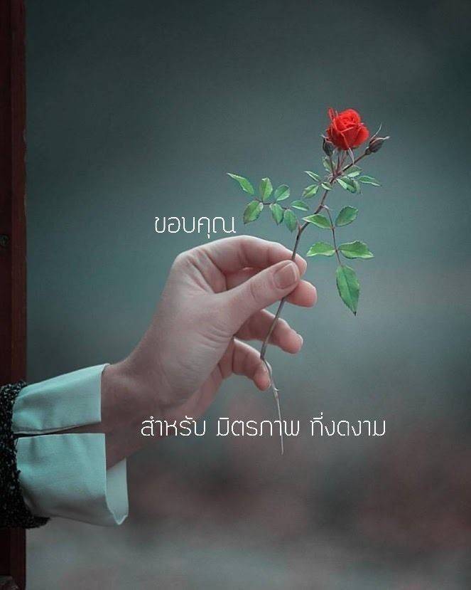 MarkBluePlus's tweet photo. พระอาทิตย์ แปลว่า ซัน ☀
คนสำคัญ แปลว่า เธอ 👫 https://t.co/dn1R2NeVHC