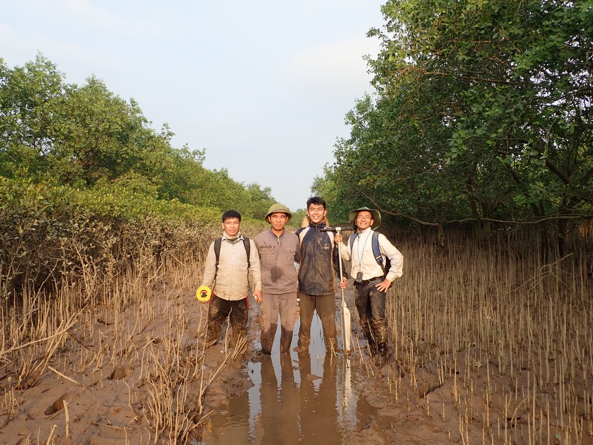 TienDatPham_RS's tweet photo. Happy Earth Day! Remember the field survey to collect mangrove soil cores and biophysical measurements in the Xuan Thuy National Park, the first RAMSAR site in Vietnam :) https://t.co/OjIr15Ypd6