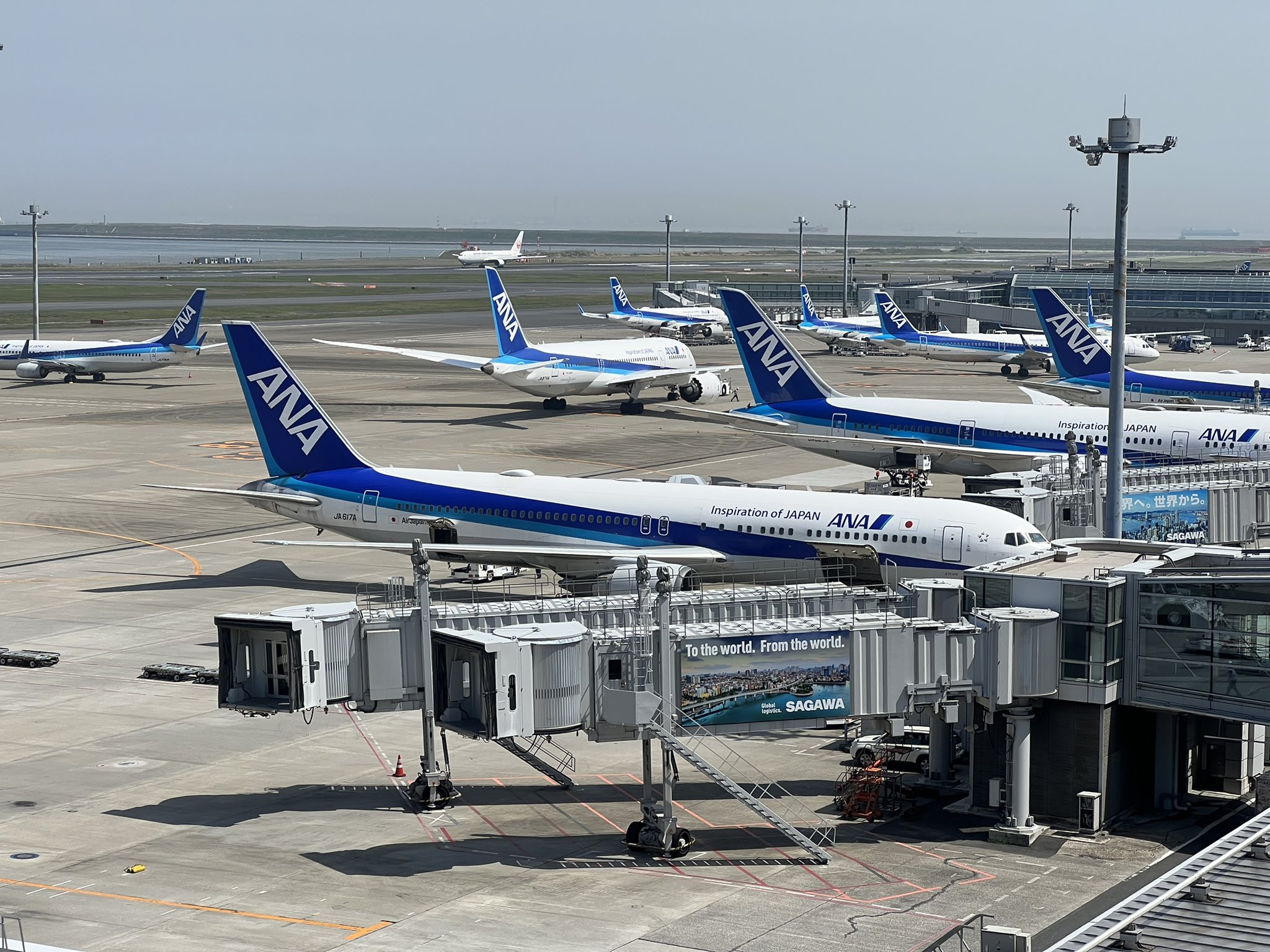 Anaファンの飛行機搭乗記 低浮上 Anafanflightlog Twitter