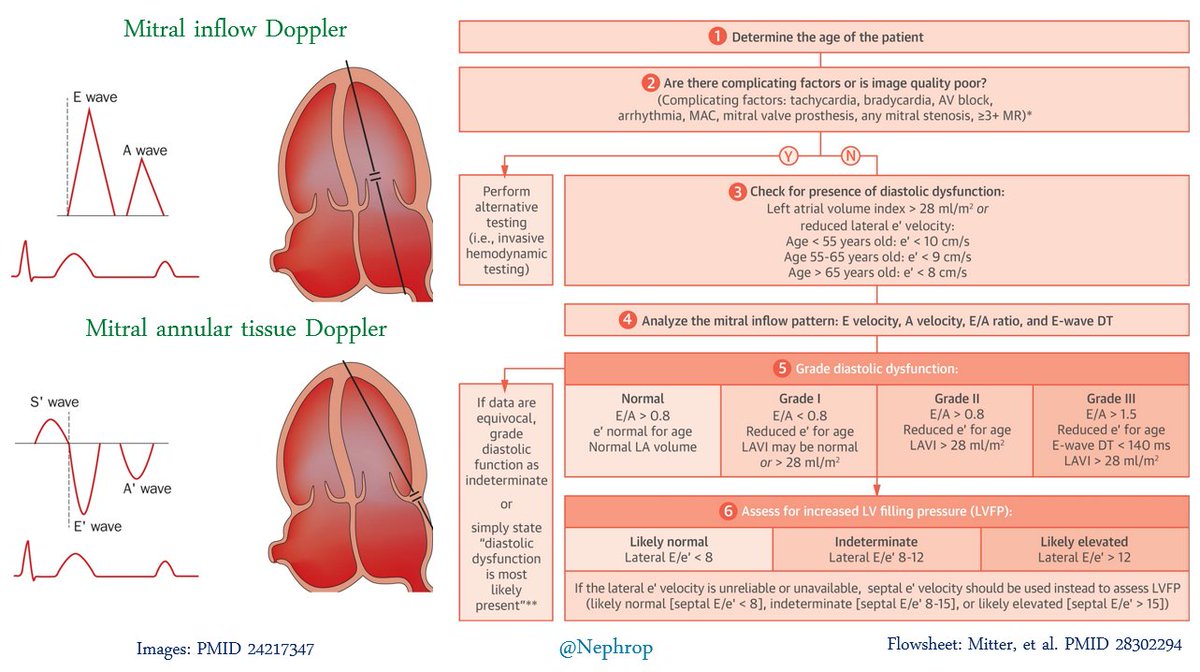 NephroPOCUS tweet media