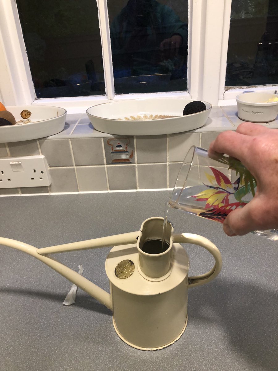 HelenPrice89's tweet photo. Day 8 of #environmentchallenge and #earthday @RBWM_YC . Any water left undrunk pour into baby watering can and use to water plants. Saves unnecessary water processing and saves on the water meter. https://t.co/6Izs64jo39