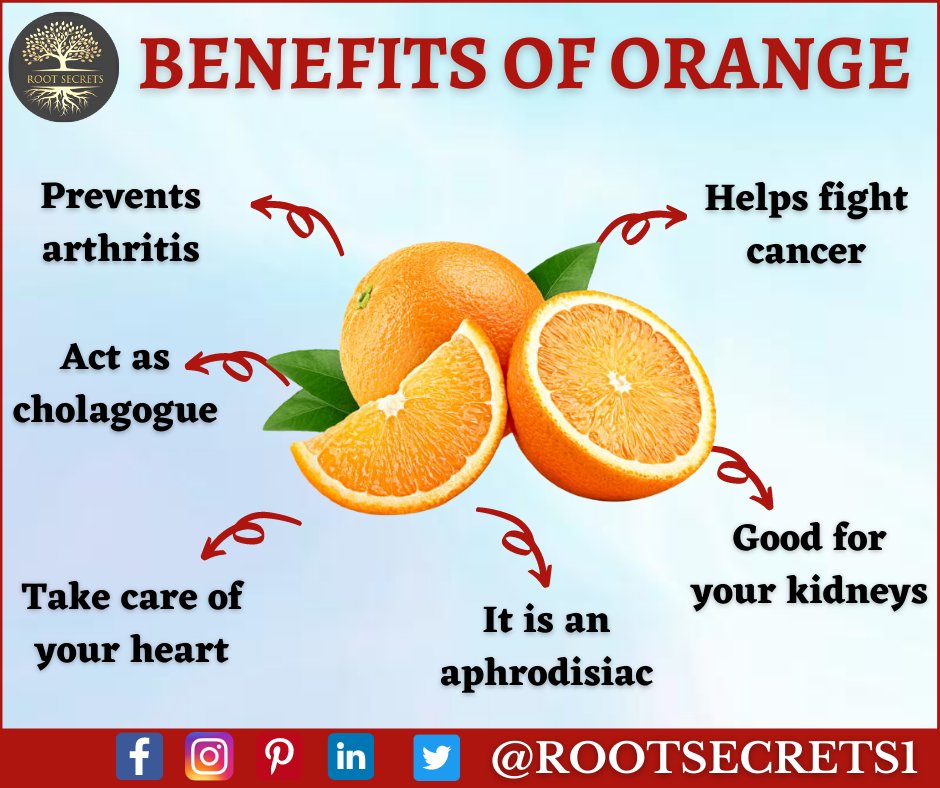 Rootsecrets1's tweet photo. HEALTH BENEFITS OF ORANGES
Read post and share with your friends.
Like and Follow our page for more health related information's: @rootsecrets1
.
.
.
#health #oranges #healthy #healthyoil #aphrodisiac #fibre #arthritis #antioxident #nourish #hair #rootsecrets #heartcare #cancer https://t.co/FfqYYtHZKj
