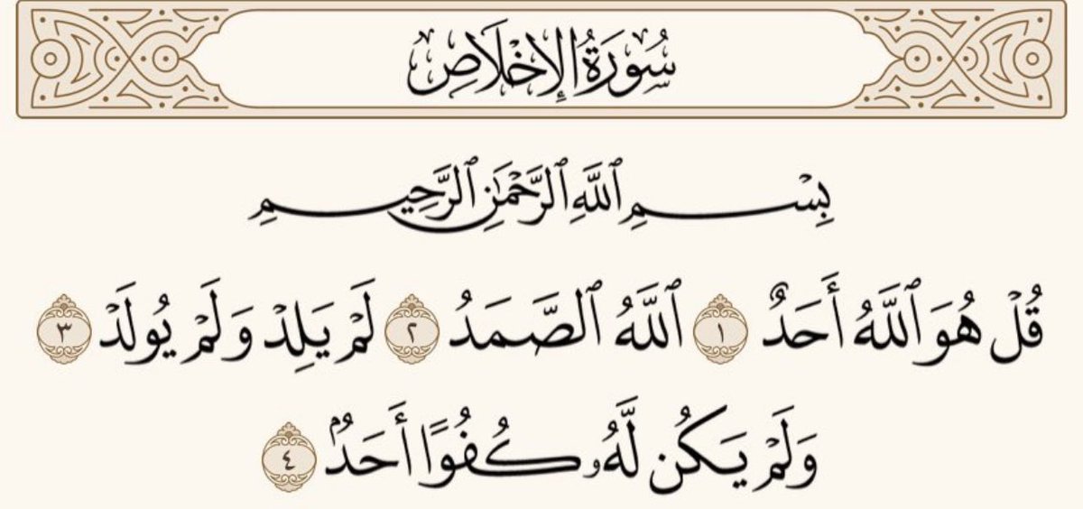 iferaas_'s tweet photo. 💛🌿 https://t.co/197BHr0GBG