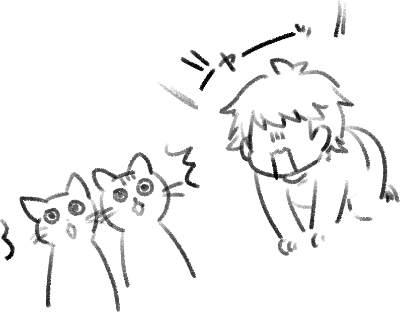 フォロワーと猫 