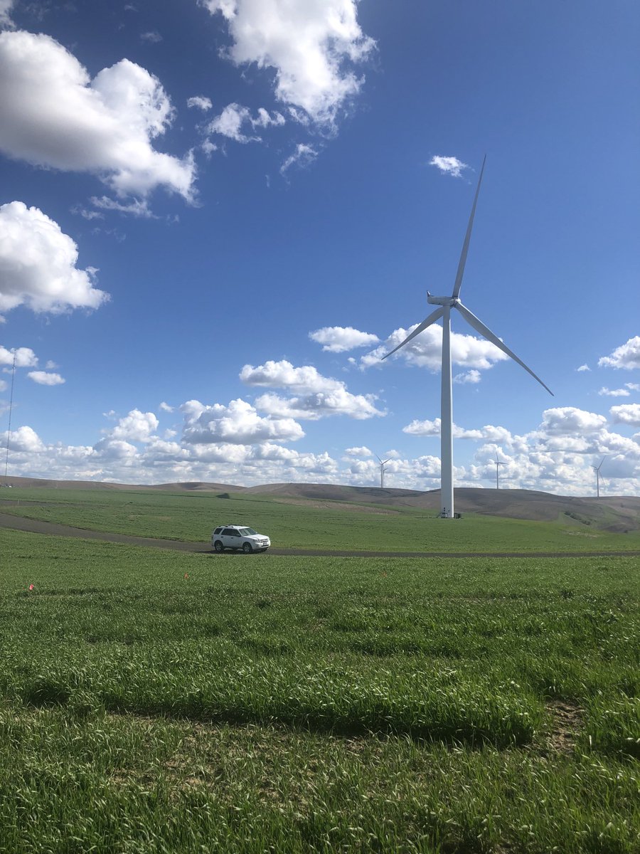 Kim Garland Campbell tweet media