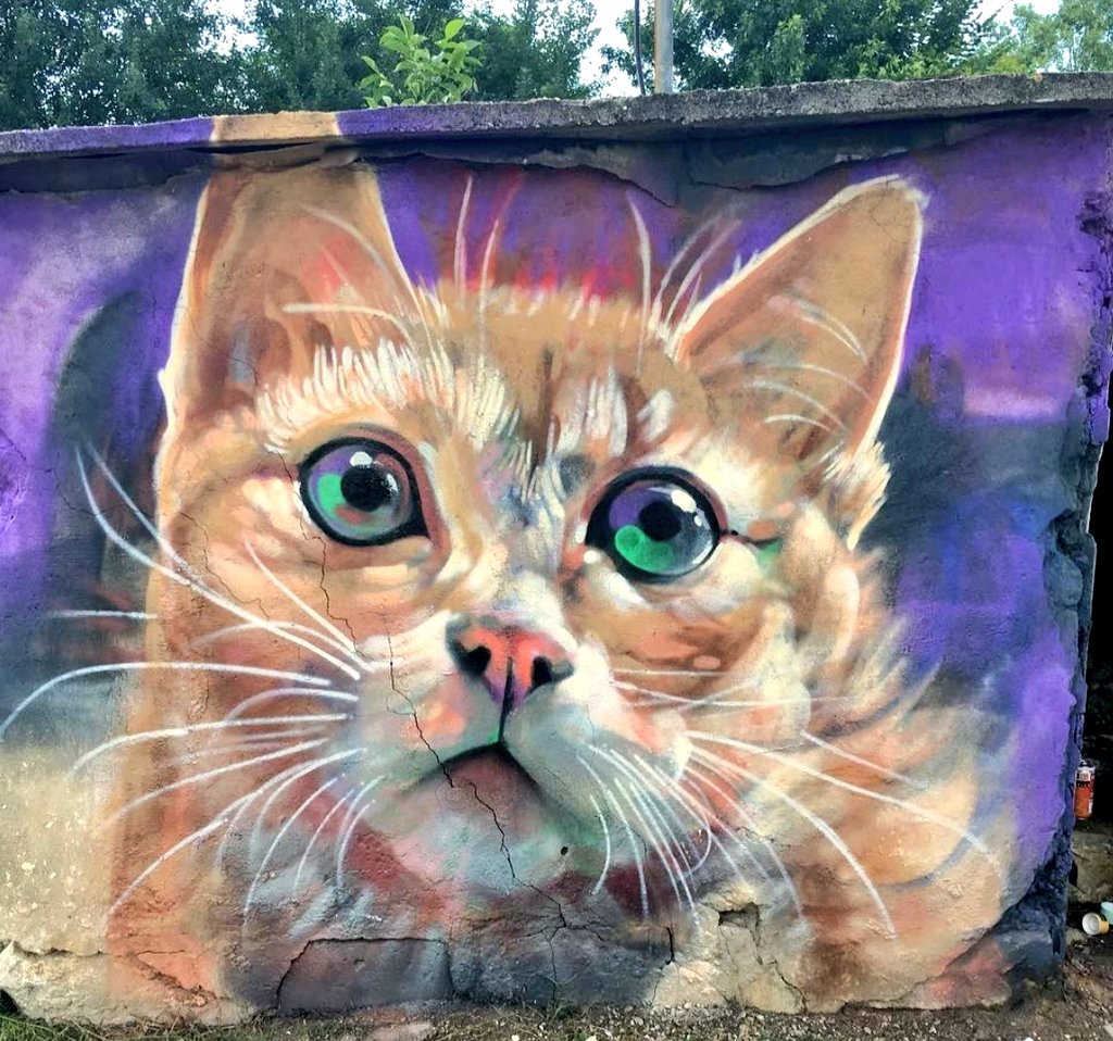 Красивые граффити кошка