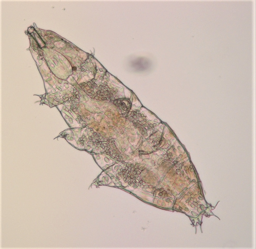 Connect Magazine tweet media