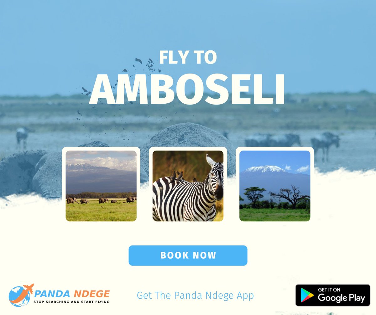 PandaNdege's tweet photo. Compare cheap flights and find tickets from Nairobi (Wilson Airport) to Amboseli (ASV). 

Tembea Kenya na Panda Ndege! ✈️✈️

Download the Panda  Ndege app on Google Play and book your flight to Amboseli 😀

https://t.co/8BBXoF1pQk

#tembeakenyanapandandege #tembeakenya https://t.co/dQPbVd0r0k