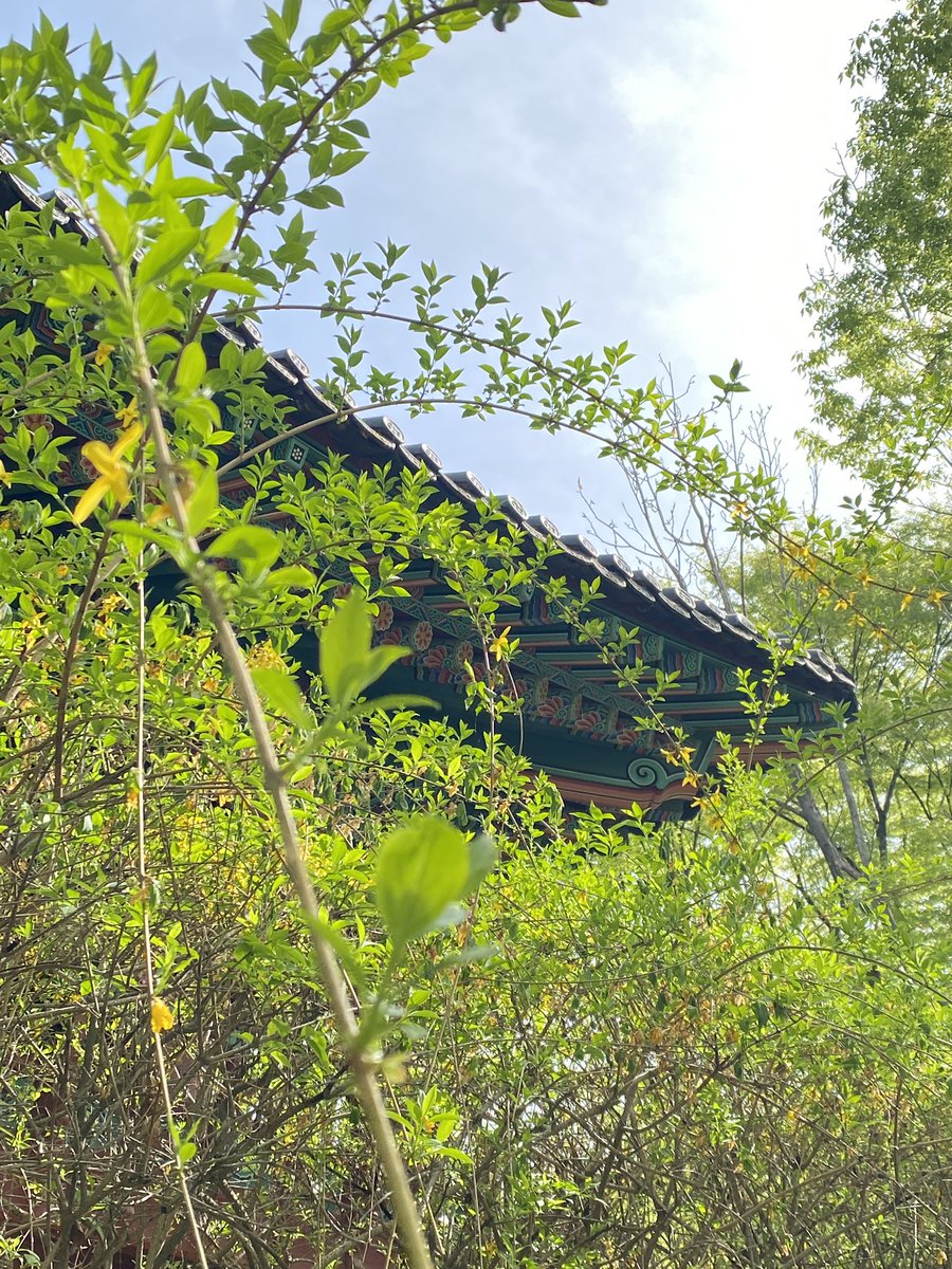 EHO_meinliebe's tweet photo. 민속촌갔다가 기 다빨림 https://t.co/QXjRuc5nt3