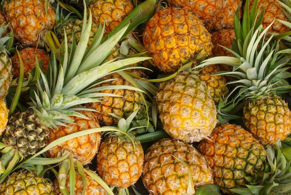 View 💥 on Twitter: "#pineapple (Ananas comosus) is an incredibly deli...