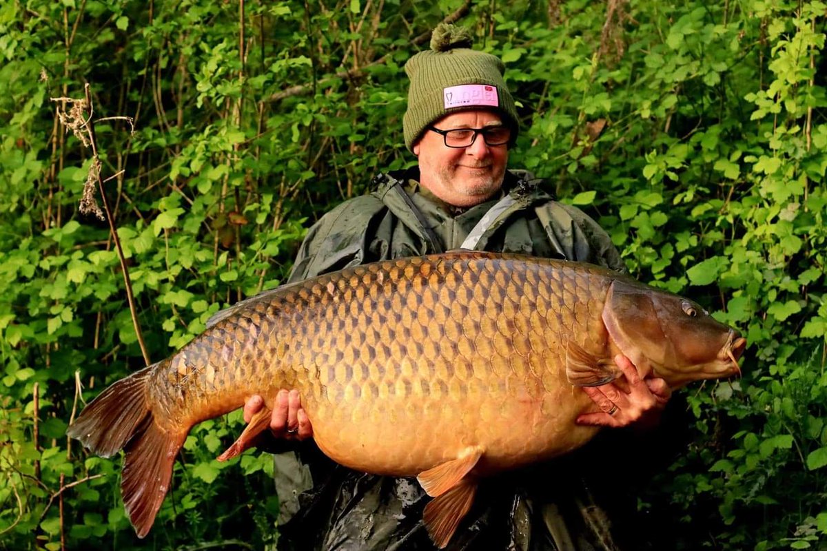 CherryCarp tweet media