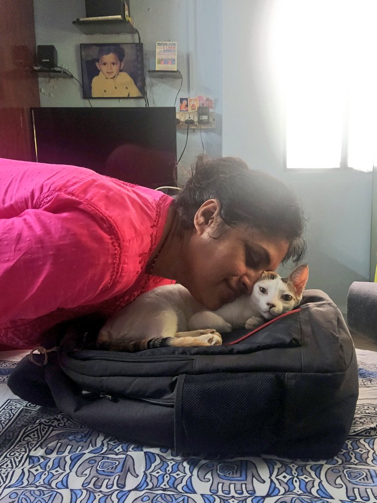 Sirrrvesh's tweet photo. this woman and this man didn't let me have a pet for 20 years, look at them now https://t.co/J3MXFcYrdb