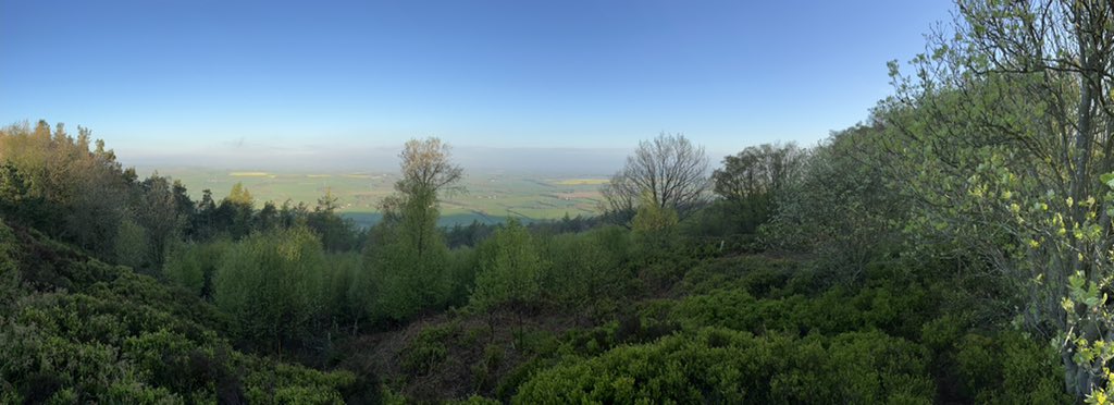 Mark Simpson 💙 🇺🇦 tweet media