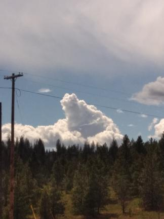 Chaton_Blanc_'s tweet photo. cat cloud, cloud cat #cloudshapes #catcloud #cloudcat https://t.co/2KbKjjp8Ne