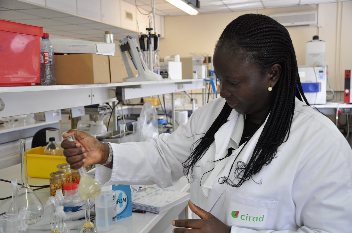 AWARDFellowship's tweet photo. #Genderresponsiveness is integral to advancing #scientific agricultural #research. Through our #GRARD initiative, we have partnered with #FUNAAB to prioritize gender responsiveness in policy and practice as part of an organizational change process.
https://t.co/bMFQcjRsk9 https://t.co/VX4PpaH4DC