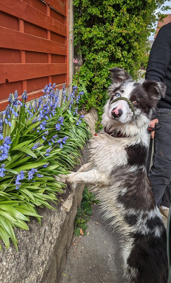 I FOUND IT! I found evidence that Mr Sunshine sure is on his way! 🌼🌻☀️😎