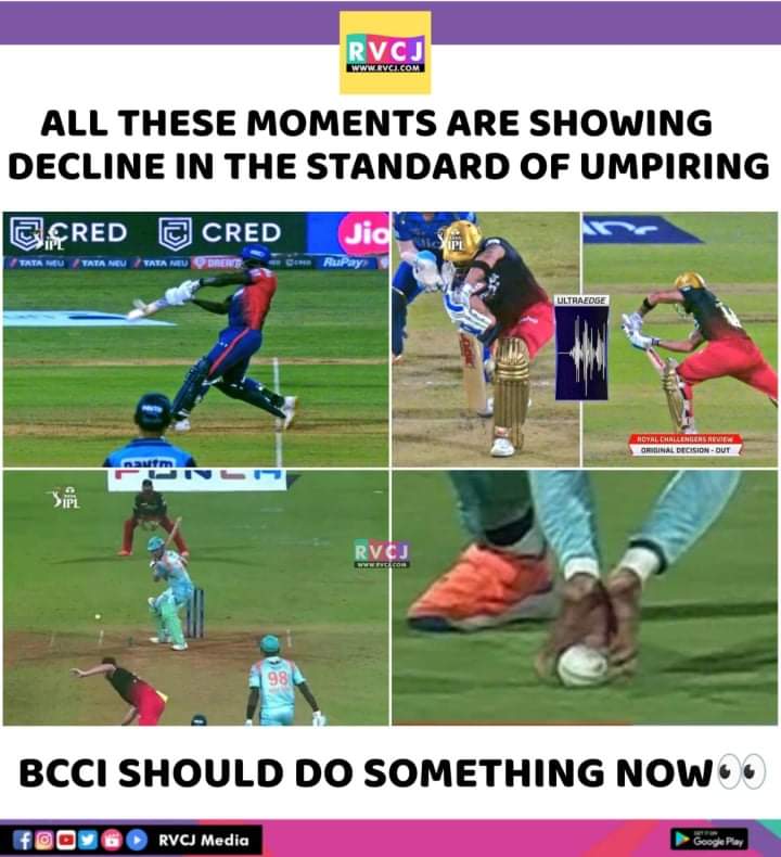 RVCJ Media tweet media