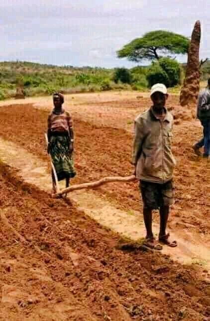 BatiRasa's tweet photo. Life in south #Oromia! https://t.co/lSQUY9rWne