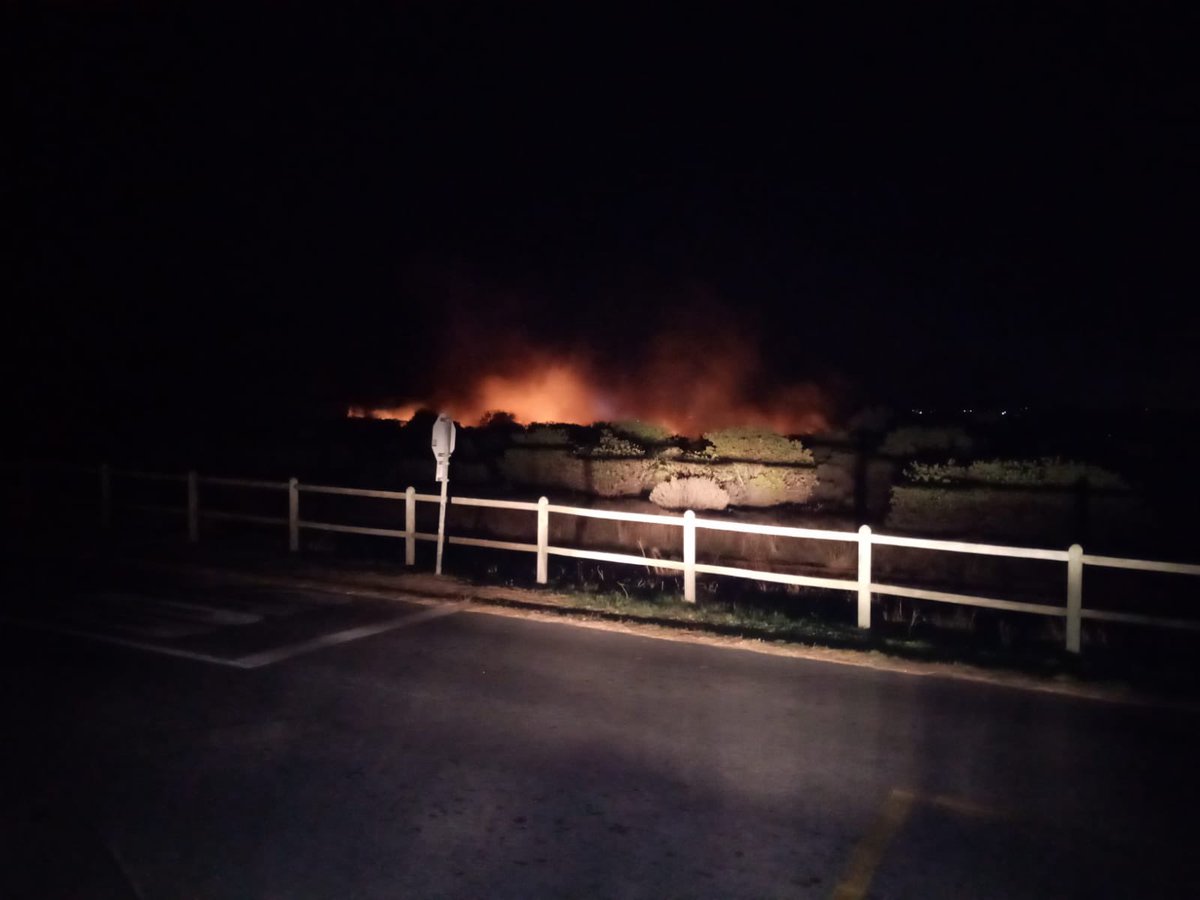 #NEWSTART🔥Zwaanswyk and Tokai picnic area🔥

<a href="/TableMountainNP/">SANParks TMNP</a> <a href="/NCCEnviron/">NCC Environmental Services</a> crews responded to multiple ignitions in the Zwaanswyk &amp; Tokai picnic area from 02:00. The crews are responding again to further ignitions.

Thanks to Premier for reporting the fires and for the photos.