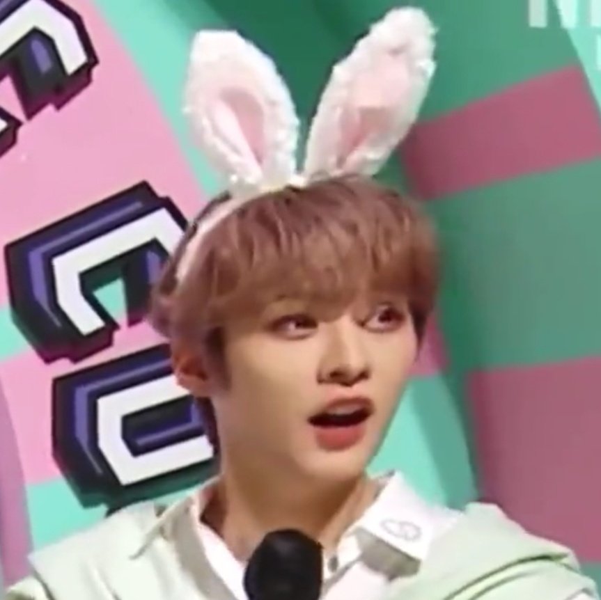 daily-lee-know-on-twitter-im-crying-why-is-there-a-cat-pic-for